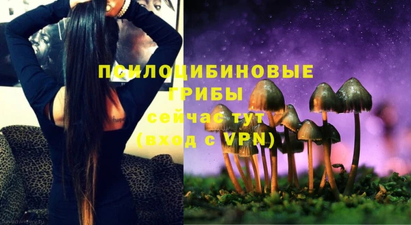 тгк Нязепетровск